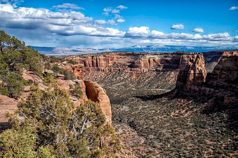 Canyon Rim Trail.jpg