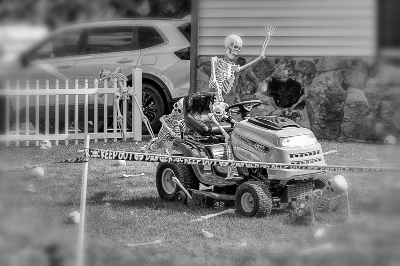 Yard work Day 8.jpg
