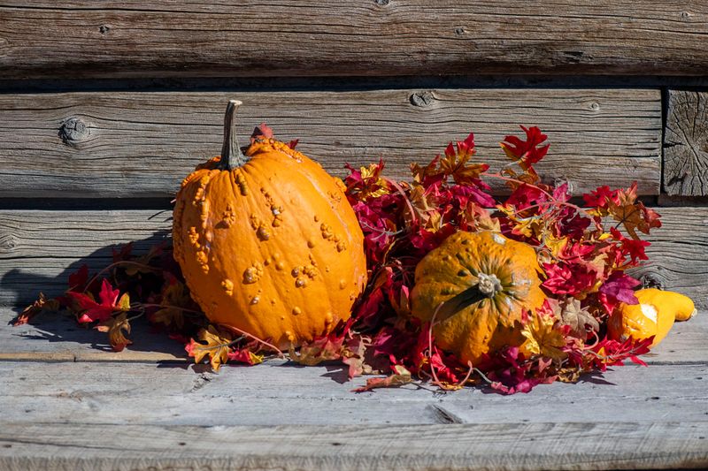 Simple Autumn scene Day 24.jpg