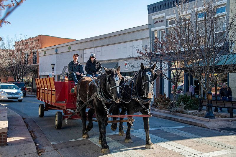 Carriage ride.jpg