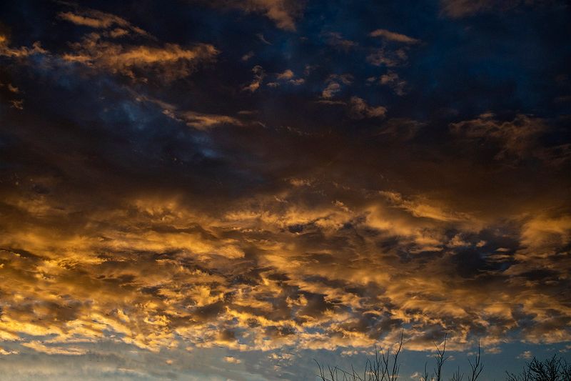 Backyard sunrise.jpg