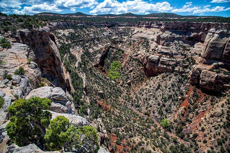 Canyon Rim trail.jpg