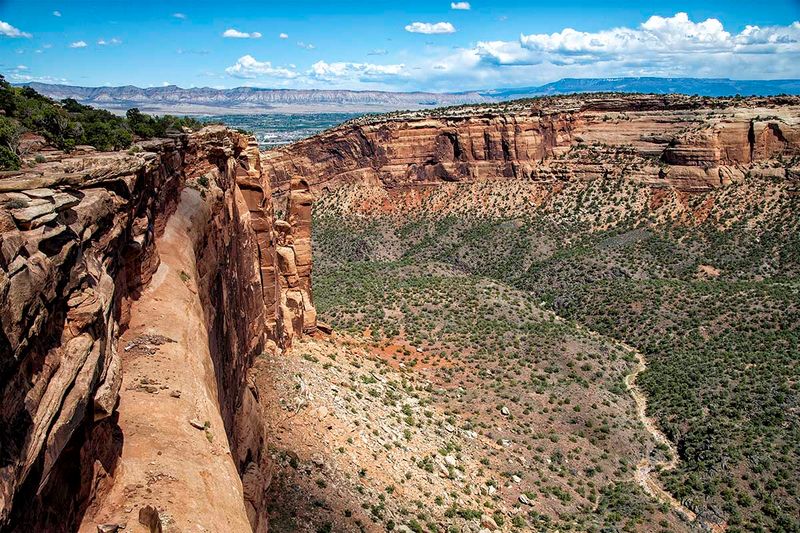 Canyon Rim 2.jpg