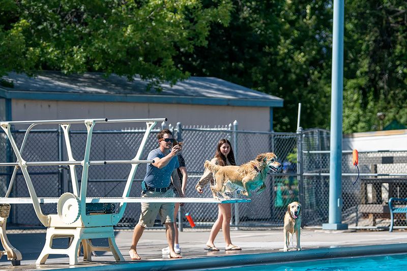 Dog jump 1.jpg