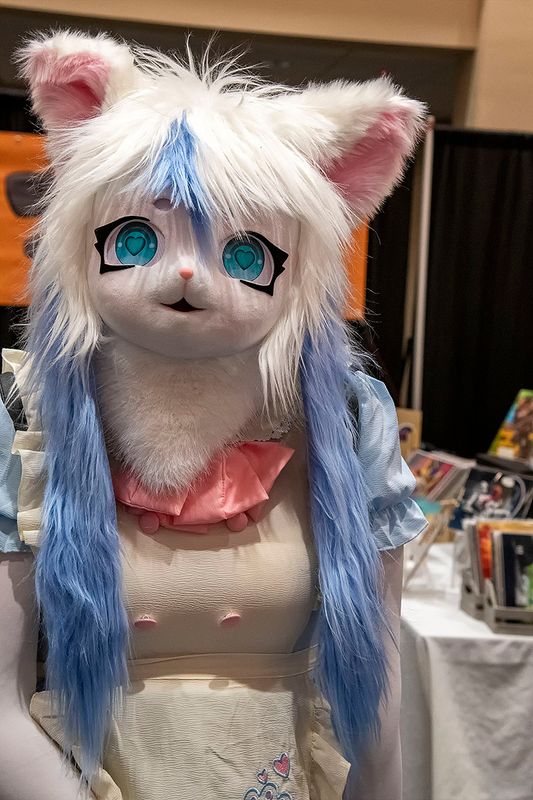 ComicCon 4.jpg