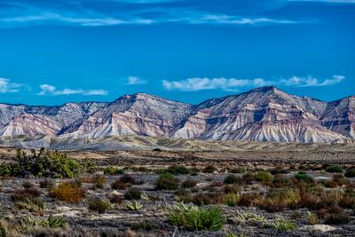 Bookclifs color Day 12.jpg