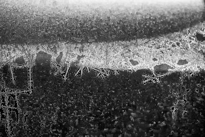 52_week_project_2025