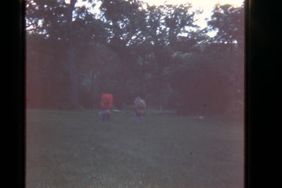IMG00726.JPG