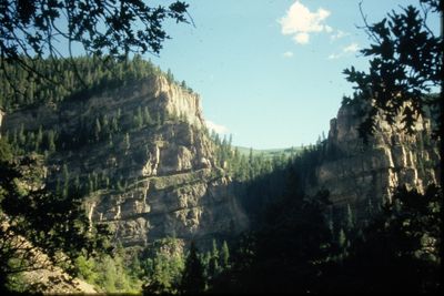 IMG02381.JPG