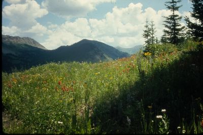 IMG02391.JPG