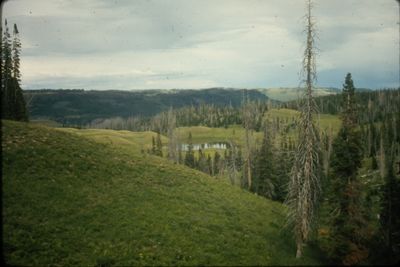 IMG02394.JPG