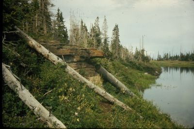IMG02396.JPG