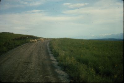 IMG02403.JPG