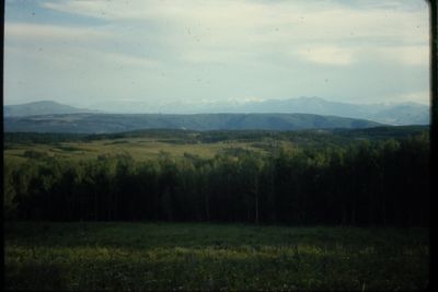 IMG02404.JPG