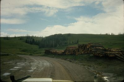 IMG02413.JPG