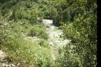 IMG02419.JPG