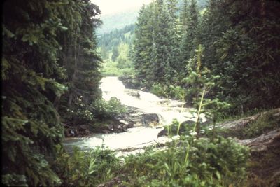 IMG02421.JPG