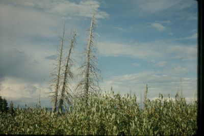 IMG02422.JPG