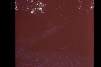 IMG02439.JPG