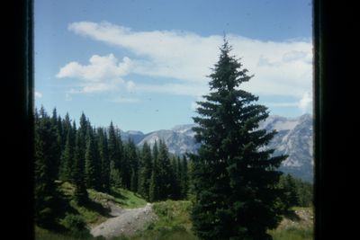 IMG02451.JPG