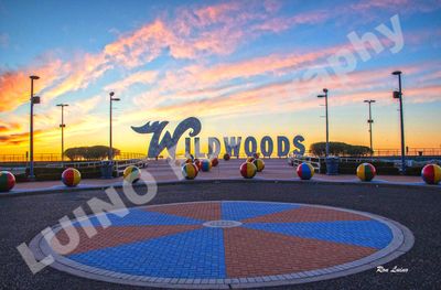 The Wildwoods