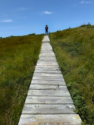 Lookout Trail