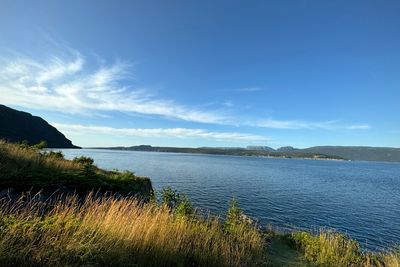 Golden hour at Woody Point