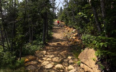 Lookout Trail