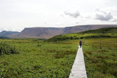Lookout Trail