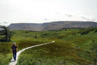Lookout Trail