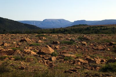 Gros Morne Mountain in the distance