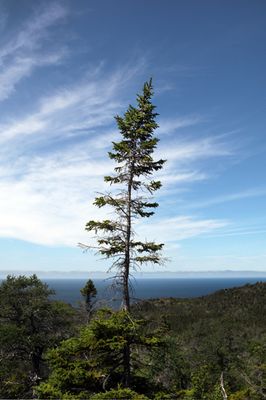 Green Gardens Trail