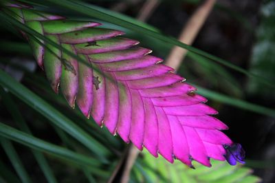 Maui_0120.JPG