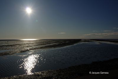 le d'Anticosti - 2025