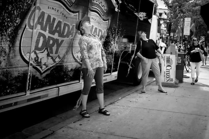 L1002567.jpg
