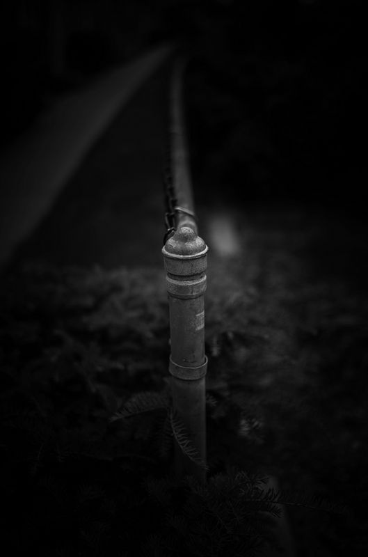 L6000347_1.jpg
