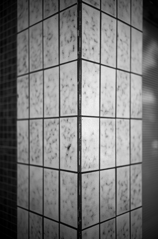 L7000892.jpg