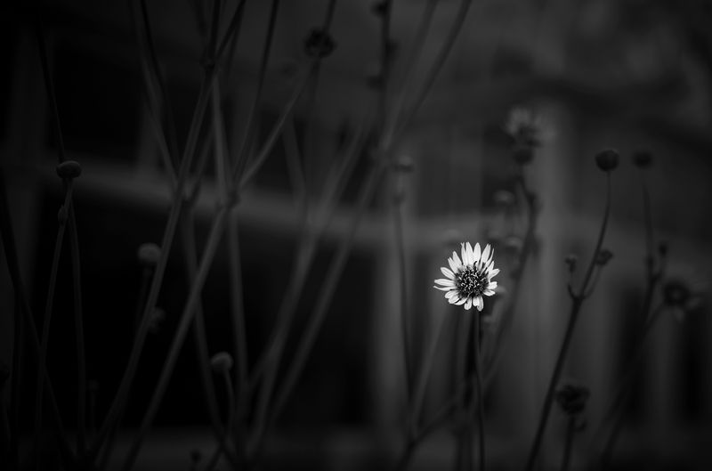 L7005952.jpg
