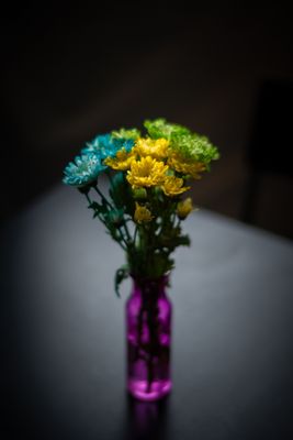 L1018205.JPG