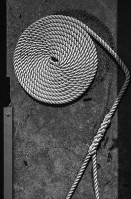 L6009689.jpg