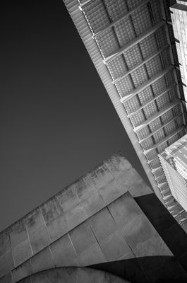 L6000038.jpg