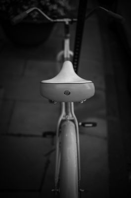 L7000811.jpg