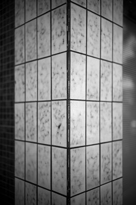 L7000892.jpg