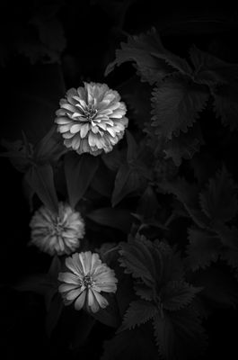 L7001398.jpg