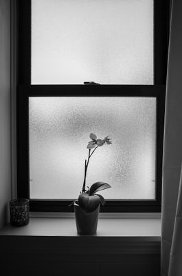 L7001659.jpg