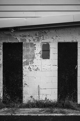 L7003184.jpg