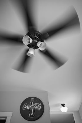 L7004668.jpg