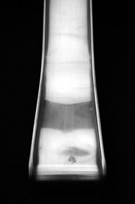 L7005048.jpg