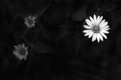 L7005960.jpg