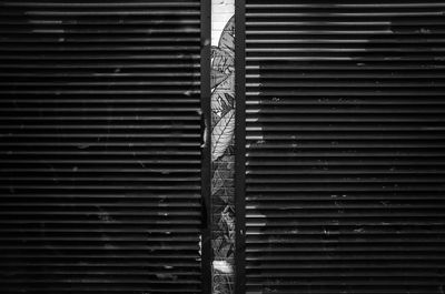 L7006188.jpg